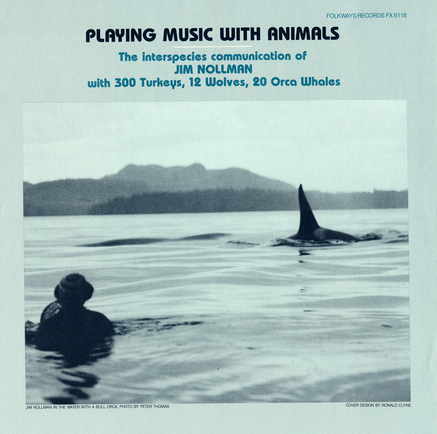 Playing Music with Animals: Interspecies Communication of Jim Nollman with  300 Turkeys, 12 Wolves and 20 Orcas | Smithsonian Folkways Recordings