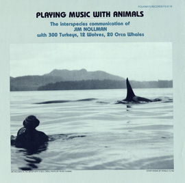 Playing Music with Animals: Interspecies Communication of Jim Nollman with 300 Turkeys, 12 Wolves and 20 Orcas