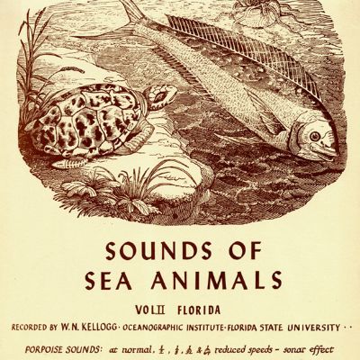 Sounds of Sea Animals, Vol. 2: Florida