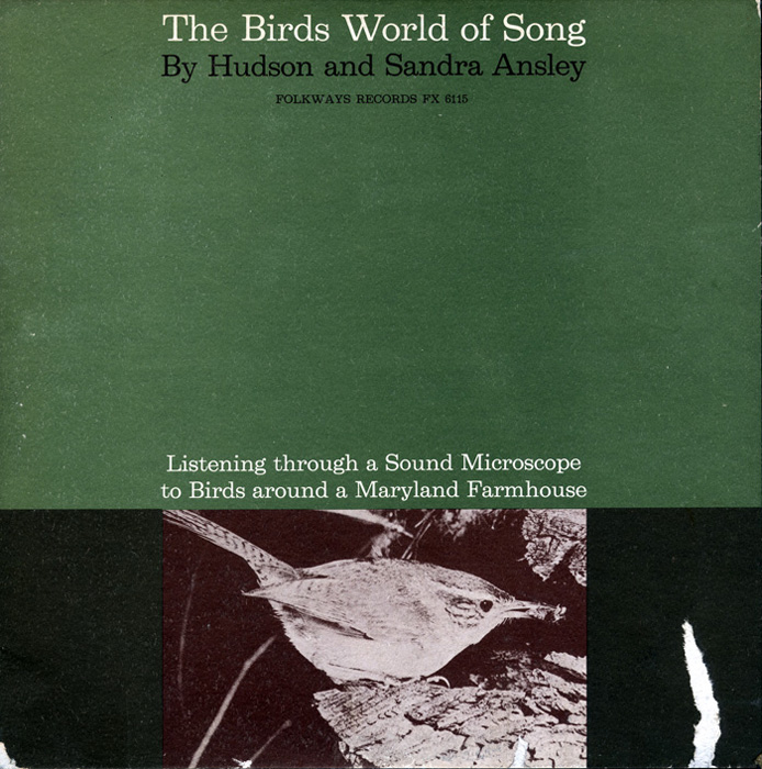 The Birds World of Song