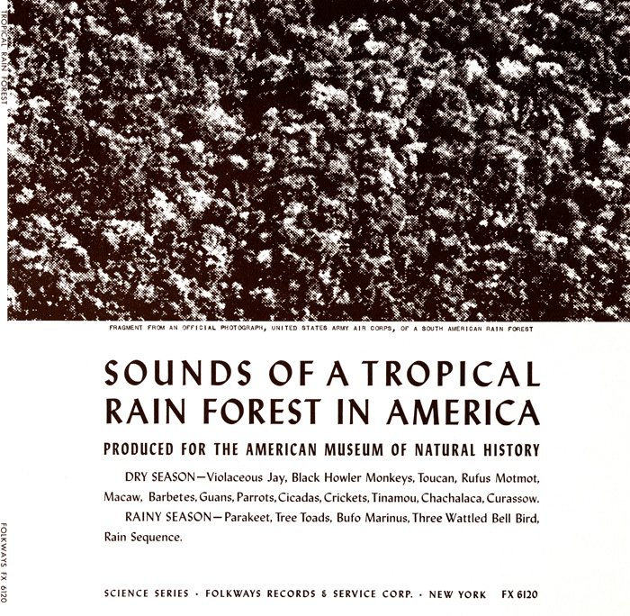 Sounds of a Tropical Rain Forest: Produced for the American Museum of Natural History