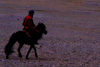Musical Hooves on the Steppes: The Morin Huur of Mongolia
