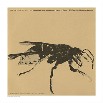 Cover Art Print - Sounds of Insects