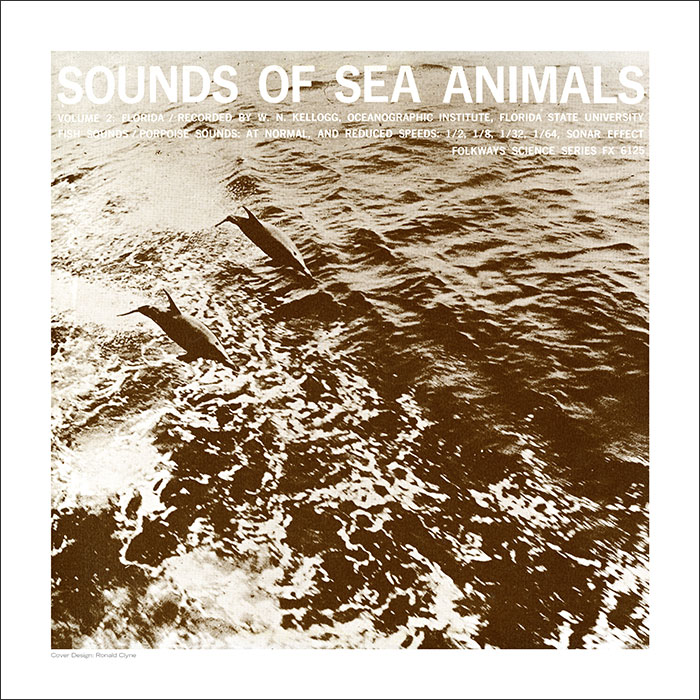 Cover Art Print - Sounds of Sea Animals