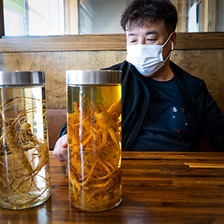 A man wearing a face mask sits at a table and looks at two tall, clear jars filled with ginseng root. In one jar the ginseng floats in a clear liquid, in the other a yellow-tinted liquid.