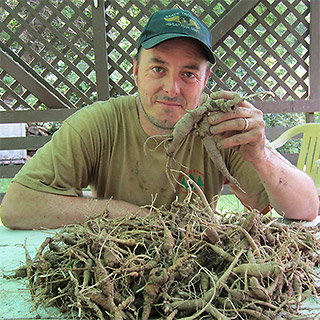 Jim Hamilton displays a pile of ginseng roots that were harvested from his friend Blake Dillman’s family land in southwest Virginia. For several decades, Dillman’s grandfather transplanted ginseng to this property. Photo by Blake Dillman