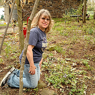 Randi Pokladnik’s backyard reveals her passion for herbs, including ginseng that was planted while working on her dissertation. Photo courtesy of Randi Pokladnik