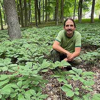 Eric Burkhart crouches amongst a patch of American ginseng that embodies his motto, 'conservation through cultivation.' Photo courtesy of Iris Gao.